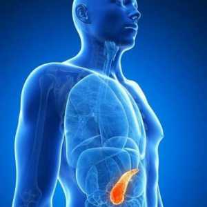 Pancreasul aberant: diagnostic, simptome și tratament