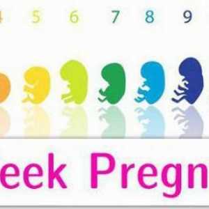 Avortul la săptămâna 8 a sarcinii