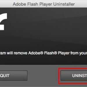 Adobe Flash Player: cum se elimină complet add-on-ul?