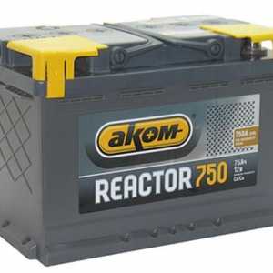 Reactor baterie: recenzii, specificatii. Baterie bună pentru mașină