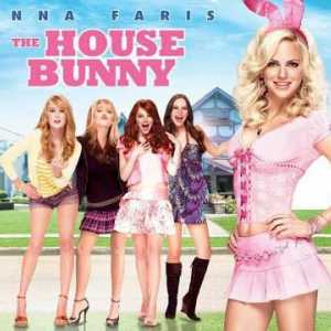 Actori "Băieții se simt" (Casa Bunny): Anna Faris, Rumer Willis și alții