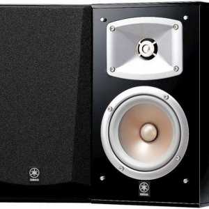 Sistemul acustic Yamaha NS-333: specificații, fotografii și recenzii