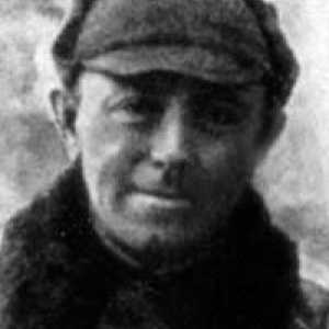 Alexander Anisimov, pilotul: biografia