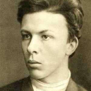 Alexander Ulyanov - revoluționar-Narodovoltsi, fratele lui Lenin. Biografie, activitate…