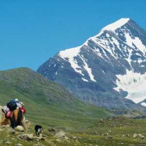 Teritoriul Altai și Republica Altai - locuri uimitoare pentru activități în aer liber