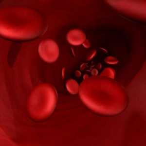 Test de sânge pentru biochimie: decodarea rezultatelor