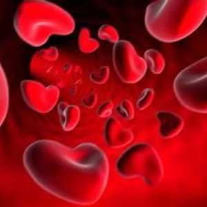 Test de sânge: decodarea PDW (normă și abatere)