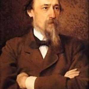 Analiza poemului Nekrasov `În memoria lui Dobrolyubov`. Despre ce a scris Nikolai…