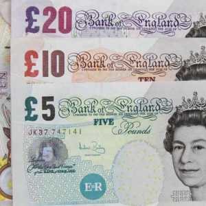 Banii englezi: descriere și fotografie
