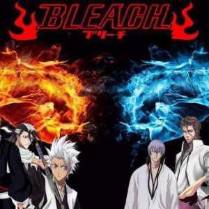 Anime Bleach: este posibil să continuăm?