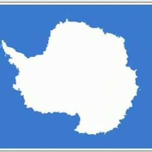 Antarctica: fapte interesante, descoperiri, descoperiri