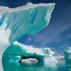 Antarctica este țara de gheață. Ce altceva nu știai despre Antarctica