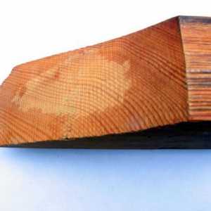 Antiseptic pentru lemn: recenzii ale clienților. Cum de a alege un antiseptic pentru lemn, care…