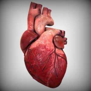 Supapă aortică: structură, mecanism de funcționare. Stenoză și insuficiență a valvei aortice