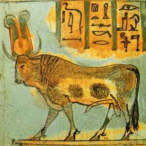 Apis - taur sacru al Egiptului