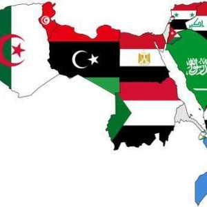 Țările arabe. Palestina, Iordania, Irak
