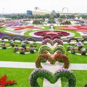 Arabia de mirare a lumii: un parc de flori din Dubai