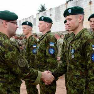 Armata estoniană: fotografie, putere și armament