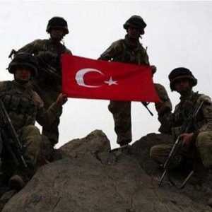 Armata turcă: forță, armament, fotografie