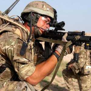 Armata Marii Britanii: principalele tipuri de trupe, structură și funcții