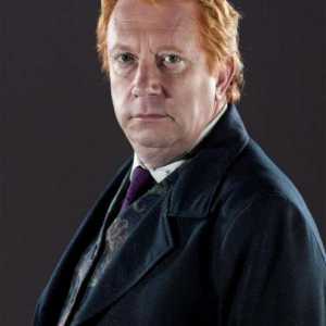 Arthur Weasley este instructorul spiritual al lui Harry Potter. Actorul care a jucat pe Arthur…