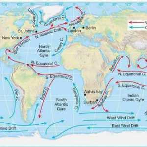 Oceanul Atlantic: curenții și caracteristicile acestora