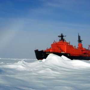 Gheață de gheață `Arctic`: descriere și fotografie. Mașini de gheață moderne din…