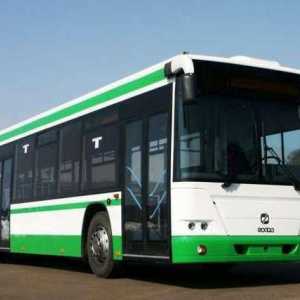 Autobuz GOLAZ 5251, 6228: specificații și fotografii