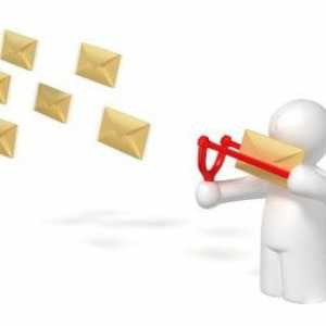 Email automat: cum se face un buletin informativ?