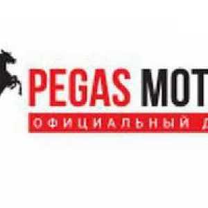 Pegas Motors Show Motor: comentarii