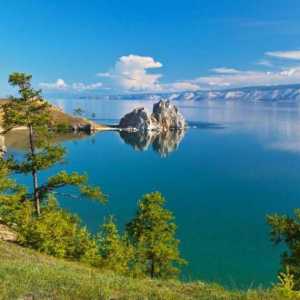 Baikal pește: listă, descriere