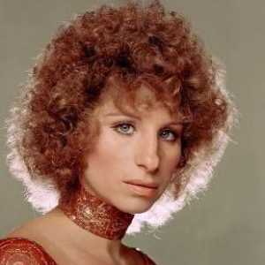 Barbara Streisand: filmografia unei mari cântăreți și actriță. Filme cu Barbara Streisand