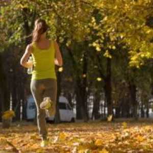 A alerga pentru pierderea în greutate: cât de mult ar trebui să alergi? Creați un program de…