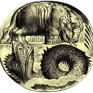Hipopotam: mitologie, etimologie, soiuri