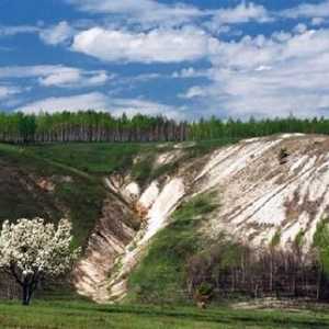Belogorye, rezervă. Rezervația naturală de stat `Belogorye` (regiunea Belgorod)