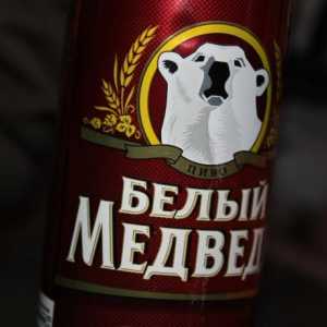 `Polar Bear` - bere cu caracter bun