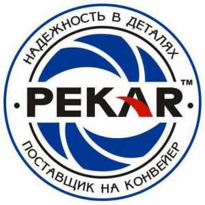 Pompe de benzină `Pekar`: caracteristici și recenzii. Compararea modelelor