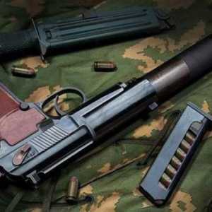 Silent pistol PB: recenzie, specificații și recenzii