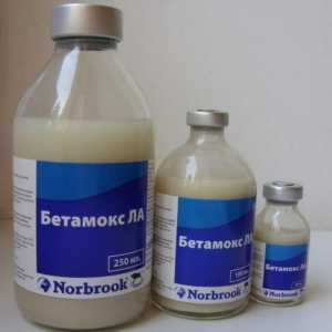 "Betamox" sau "Betamax"? Instrucțiuni pentru utilizarea medicamentului…