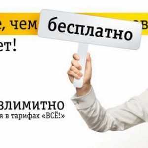 `Beeline`-Internet în roaming în Rusia și în străinătate. Cum se conectează…