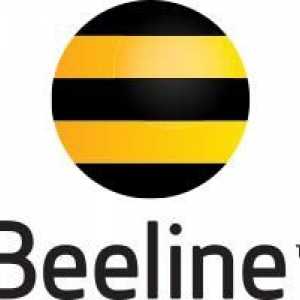`Beeline Smart 2`: comentarii despre smartphone-ul, descrierea, prețul