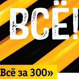 Beeline, tariful "Toate pentru 300": recenzii, descriere, conexiune