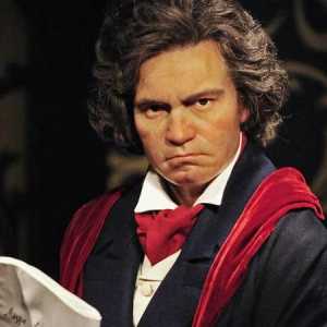 Biografie și fapte interesante din viața lui Beethoven și a operei sale