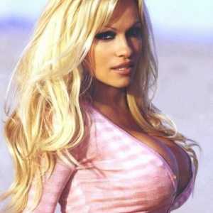 Biografie: Pamela Anderson este o diva sex sau o soție credincioasă?