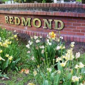 Blender `Redmond`: comentarii. Specificatii, preturi, fotografii