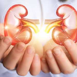 Boli de rinichi: Simptome, tratament și consecințe