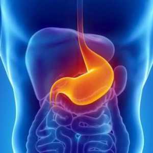 Boli ale stomacului: simptome, tratament, dietă. Diagnosticul și prevenirea bolilor stomacale