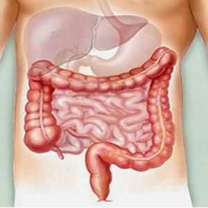 Durerea din intestinul abdomenului inferior: simptome și cauze. Dieta pentru durere în intestin