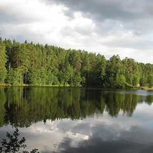 Lacul Mare Simaginskoye este un loc pentru odihnă și pescuit