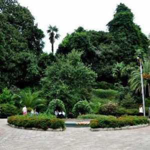 Grădina botanică Batumi. Capul Verde